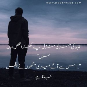 best urdu poetry bewafa