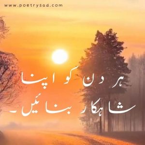 urdu poetry funny