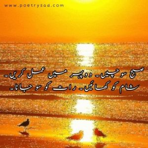 poetry in urdu sad