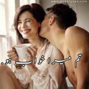 shayari urdu love