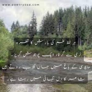 urdu poetry status
