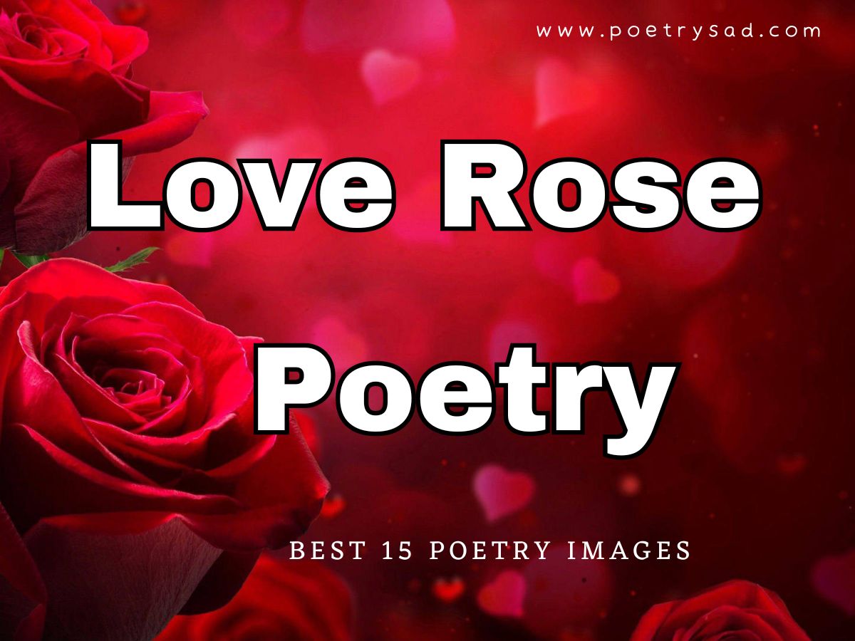 Love-Rose-Urdu-Poetry-Rose.